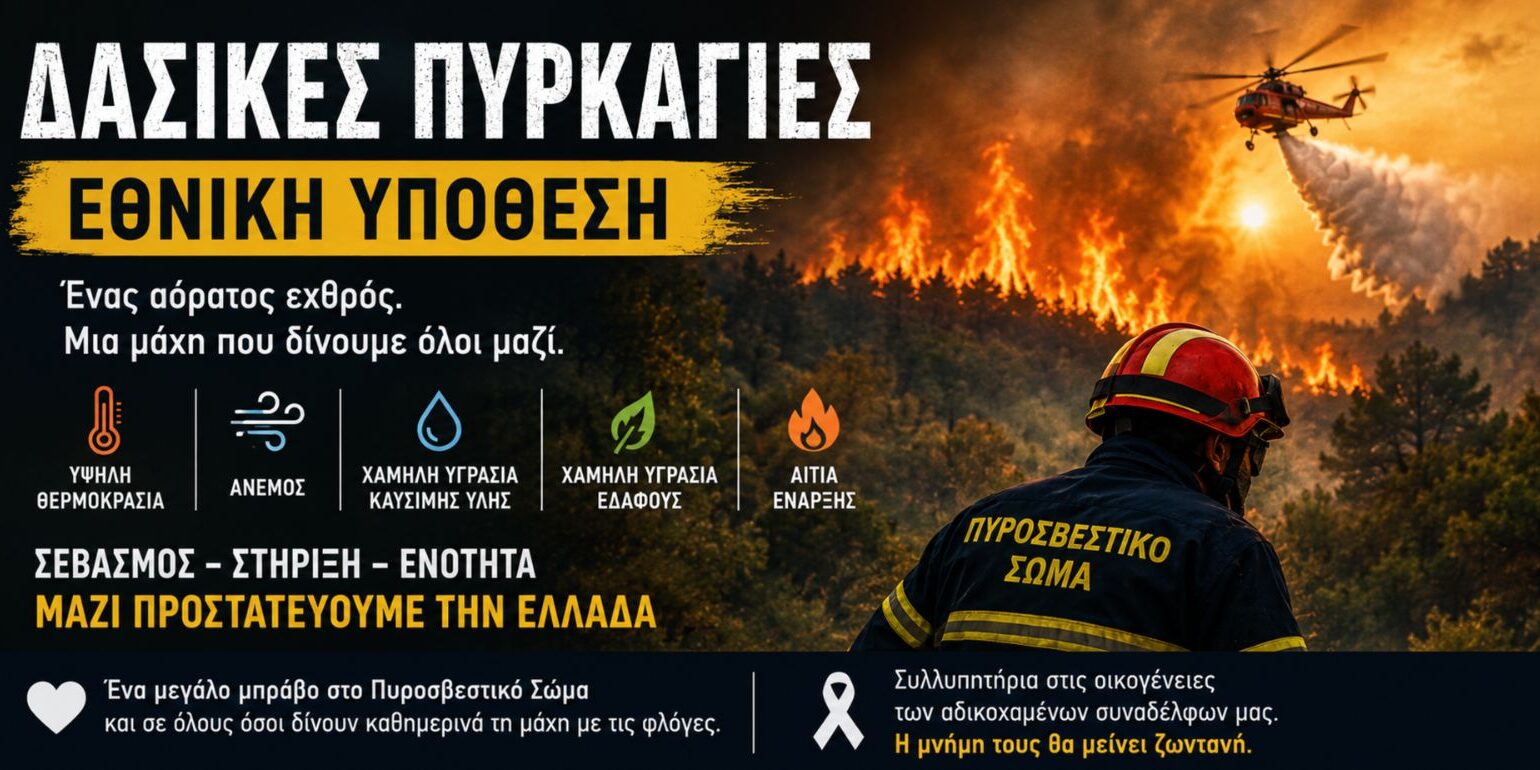 dasikes-pirkagies-1