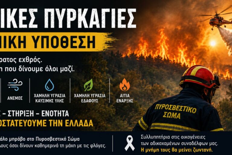 dasikes-pirkagies-1